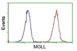 MGLL Mouse anti-Human, Clone: OTI2G8, liquid, TrueMAB 100 &mu;L; Unconjugated:Antibodies,