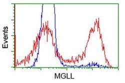 MGLL Mouse anti-Human, Clone: OTI2C9, lyophilized, TrueMAB 100 &mu;g; Unconjugated:Antibodies,