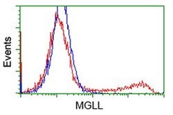 MGLL Monoclonal Antibody (OTI 2B6), TrueMAB , OriGene 100 &mu;L; Unconjugated:Antibodies,