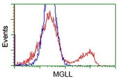 MGLL Mouse anti-Human, Clone: OTI4D1, lyophilized, TrueMAB 100 &mu;g; Unconjugated:Antibodies,