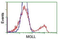 MGLL Monoclonal Antibody (OTI4D1), TrueMAB , OriGene 100 &mu;L; Unconjugated:Antibodies,
