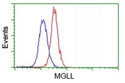 MGLL Mouse anti-Human, Clone: OTI4D1, lyophilized, TrueMAB 100 &mu;g; Unconjugated:Antibodies,