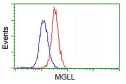 MGLL Monoclonal Antibody (OTI4D1), TrueMAB , OriGene 100 &mu;L; Unconjugated:Antibodies,