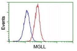 MGLL Mouse anti-Human, Clone: OTI4D1, lyophilized, TrueMAB 100 &mu;g; Unconjugated:Antibodies,