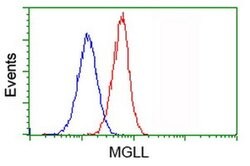 MGLL Monoclonal Antibody (OTI4D1), TrueMAB , OriGene 100 &mu;L; Unconjugated:Antibodies,
