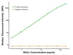 MGLL Mouse anti-Human, Clone: OTI2B6, liquid, TrueMAB 100 &mu;g; Unconjugated:Antibodies,