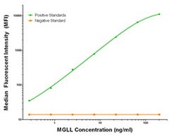 MGLL Mouse anti-Human, Clone: OTI1B1, liquid, TrueMAB 100 &mu;g; Unconjugated:Antibodies,
