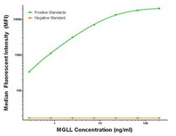 MGLL Mouse anti-Human, Clone: OTI1C6, liquid, TrueMAB 50 &mu;g; Unconjugated:Antibodies,