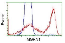 MGRN1 Monoclonal Antibody (OTI1A11), TrueMAB , OriGene 100 &mu;L; Unconjugated:Antibodies,