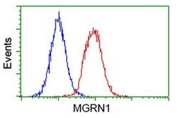 MGRN1 Monoclonal Antibody (OTI1A11), TrueMAB , OriGene 100 &mu;L; Unconjugated:Antibodies,