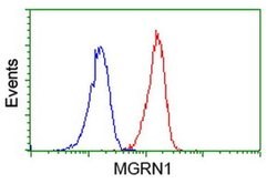 MGRN1 Monoclonal Antibody (OTI1A11), TrueMAB , OriGene 100 &mu;L; Unconjugated:Antibodies,