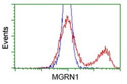MGRN1 Mouse anti-Human, Clone: OTI1A8, lyophilized, TrueMAB 100 &mu;g;