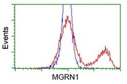 MGRN1 Monoclonal Antibody (OTI1A8), TrueMAB , OriGene 30 &mu;L; Unconjugated:Antibodies,