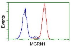 MGRN1 Mouse anti-Human, Clone: OTI1A8, lyophilized, TrueMAB 100 &mu;g;