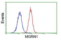 MGRN1 Mouse anti-Human, Clone: OTI3C3, lyophilized, TrueMAB 100 &mu;g;