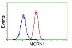 MGRN1 Monoclonal Antibody (OTI3C3), TrueMAB , OriGene 100 &mu;L; Unconjugated:Antibodies,