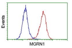 MGRN1 Monoclonal Antibody (OTI1E12), TrueMAB , OriGene 100 &mu;L; Unconjugated:Antibodies,