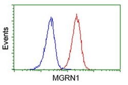 MGRN1 Monoclonal Antibody (OTI1E12), TrueMAB , OriGene 100 &mu;L; Unconjugated:Antibodies,