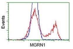 MGRN1 Monoclonal Antibody (OTI2A7), TrueMAB , OriGene:Antibodies:Primary