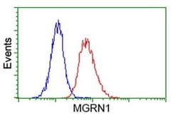 MGRN1 Monoclonal Antibody (OTI2A7), TrueMAB , OriGene 30 &mu;L; Unconjugated:Antibodies,