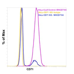 Invitrogen Transferrin Receptor Monoclonal Antibody (T56/14), PE 500 &mu;L;