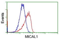 MICAL1 Mouse anti-Human, Clone: OTI1C2, lyophilized, TrueMAB 100 &mu;g;