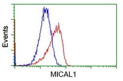 MICAL1 Monoclonal Antibody (OTI1C2), TrueMAB , OriGene 100 &mu;L; Unconjugated:Antibodies,