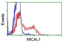 MICAL1 Monoclonal Antibody (OTI5C3), TrueMAB , OriGene 100 &mu;L; Unconjugated:Antibodies,
