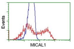 MICAL1 Monoclonal Antibody (OTI6H10), TrueMAB , OriGene 30 &mu;L; Unconjugated:Antibodies,