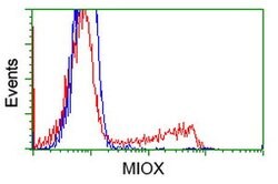 MIOX Mouse anti-Human, Clone: OTI1B7, lyophilized, TrueMAB 100 &mu;g | Buy Online | OriGene | Fisher Scientific