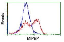 MIPEP Mouse anti-Human, Clone: OTI1D11, lyophilized, TrueMAB 100 &mu;g;