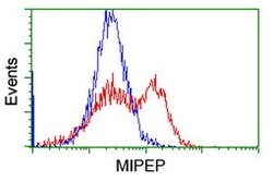 MIPEP Mouse anti-Human, Clone: OTI4F12, lyophilized, TrueMAB 100 &mu;g;