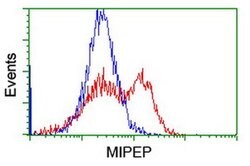 MIPEP Monoclonal Antibody (OTI4F12), TrueMAB , OriGene 100 &mu;L; Unconjugated:Antibodies,