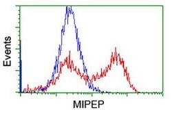 MIPEP Mouse anti-Human, Clone: OTI4C8, lyophilized, TrueMAB 100 &mu;g;