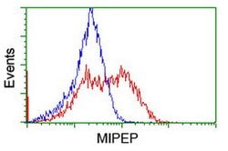 MIPEP Mouse anti-Human, Clone: OTI5E7, lyophilized, TrueMAB 100 &mu;g;