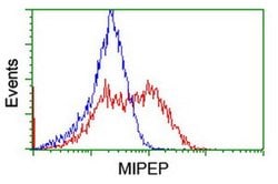 MIPEP Monoclonal Antibody (OTI5E7), TrueMAB , OriGene 100 &mu;L; Unconjugated:Antibodies,