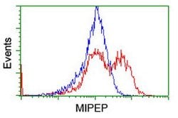 MIPEP Mouse anti-Human, Clone: OTI3F8, lyophilized, TrueMAB 100 &mu;g;