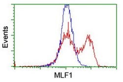 MLF1 Monoclonal Antibody (OTI2D6), TrueMAB , OriGene 30 &mu;L; Unconjugated:Antibodies,