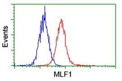 MLF1 Monoclonal Antibody (OTI2D6), TrueMAB , OriGene 30 &mu;L; Unconjugated:Antibodies,