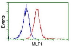 MLF1 Monoclonal Antibody (OTI2D6), TrueMAB , OriGene 30 &mu;L; Unconjugated:Antibodies,
