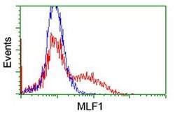 MLF1 Monoclonal Antibody (OTI2H10), TrueMAB , OriGene:Antibodies:Primary