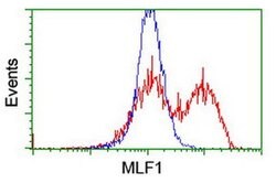 MLF1 Monoclonal Antibody (OTI1G4), TrueMAB , OriGene 100 &mu;L; Unconjugated:Antibodies,