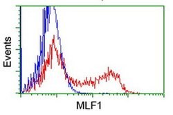MLF1 Monoclonal Antibody (OTI2C10), TrueMAB , OriGene 100 &mu;L; Unconjugated:Antibodies,
