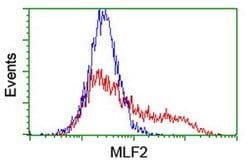 MLF2 Monoclonal Antibody (OTI1A2), TrueMAB , OriGene 100 &mu;L; Unconjugated:Antibodies,