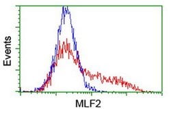 MLF2 Monoclonal Antibody (OTI1C4), TrueMAB , OriGene:Antibodies:Primary