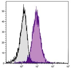 Invitrogen H-2Kk Monoclonal Antibody (36-7-5), PE 100 &mu;g; PE:Antibodies,