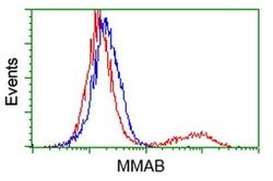 MMAB Monoclonal Antibody (OTI4D12), TrueMAB , OriGene 100 &mu;L; Unconjugated:Antibodies,