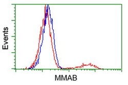 MMAB Mouse anti-Human, Clone: OTI2G5, lyophilized, TrueMAB 100 &mu;g; Unconjugated:Antibodies,