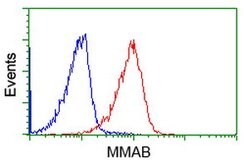 MMAB Mouse anti-Human, Clone: OTI2G5, lyophilized, TrueMAB 100 &mu;g; Unconjugated:Antibodies,
