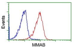 MMAB Monoclonal Antibody (OTI2G5), TrueMAB , OriGene 100 &mu;L; Unconjugated:Antibodies,